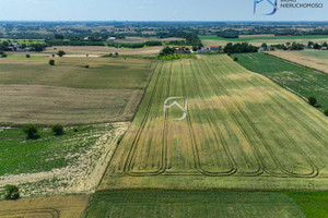 Działka na sprzedaż 20200m2 lubelski Jastków Snopków - zdjęcie 2