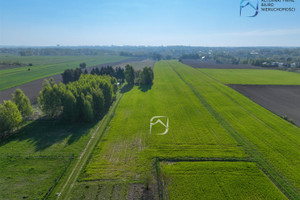 Działka na sprzedaż lubelski Konopnica - zdjęcie 2