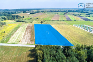 Działka na sprzedaż 14100m2 lubartowski Serniki - zdjęcie 2