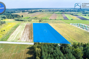 Działka na sprzedaż 14100m2 lubartowski Serniki - zdjęcie 1