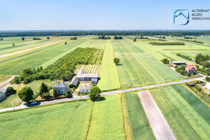 Działka na sprzedaż 2580m2 łęczyński Milejów Ostrówek-Kolonia - zdjęcie 2