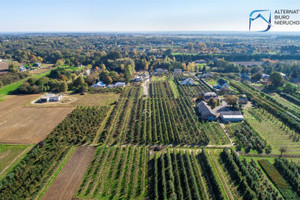 Działka na sprzedaż 3000m2 lubelski Konopnica Motycz - zdjęcie 3