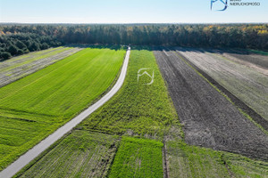 Działka na sprzedaż 5043m2 puławski Markuszów Bobowiska - zdjęcie 2