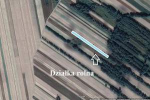 Działka na sprzedaż 18000m2 lubartowski Ostrów Lubelski Kolechowice-Kolonia - zdjęcie 3