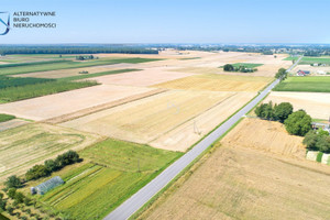 Działka na sprzedaż 900m2 świdnicki Mełgiew Janówek Kolonia - zdjęcie 2