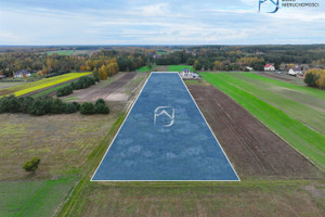 Działka na sprzedaż 11200m2 lubartowski Niedźwiada Tarło - zdjęcie 2