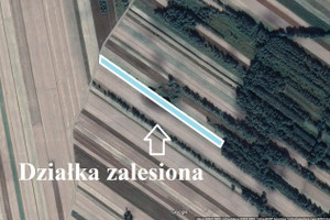 Działka na sprzedaż 18000m2 lubartowski Ostrów Lubelski Kolechowice-Kolonia - zdjęcie 2