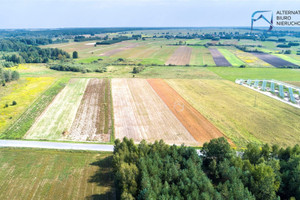 Działka na sprzedaż 14100m2 lubartowski Serniki - zdjęcie 3