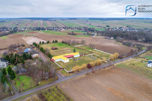 Komercyjne na sprzedaż 1000m2 krasnostawski Fajsławice Siedliska Pierwsze - zdjęcie 3