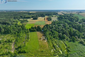 Działka na sprzedaż 10500m2 parczewski Siemień Żminne - zdjęcie 3