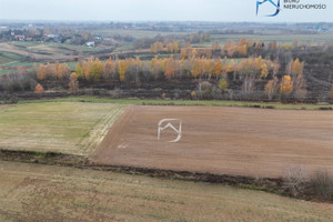 Działka na sprzedaż 3000m2 lubelski Wólka Rudnik - zdjęcie 2