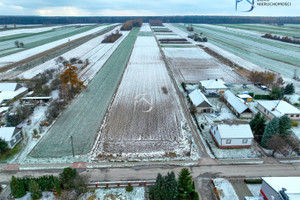 Działka na sprzedaż 5400m2 kraśnicki Wilkołaz Pułankowice - zdjęcie 2