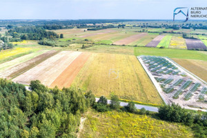 Działka na sprzedaż 31600m2 lubartowski Serniki - zdjęcie 3