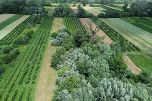 Działka na sprzedaż piaseczyński Konstancin-Jeziorna Dębówka - zdjęcie 2