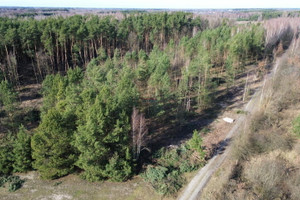 Działka na sprzedaż 5000m2 grójecki Grójec Mirowice - zdjęcie 3