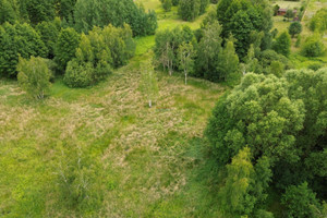 Działka na sprzedaż 1100m2 piaseczyński Prażmów Biały Ług - zdjęcie 4