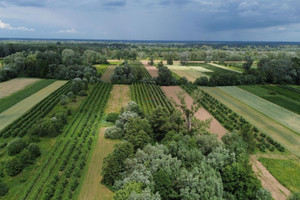 Działka na sprzedaż piaseczyński Konstancin-Jeziorna Dębówka - zdjęcie 2