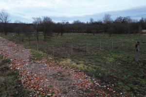 Działka na sprzedaż 1300m2 piaseczyński Piaseczno Chojnów - zdjęcie 2