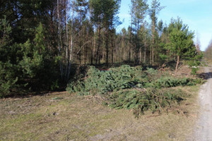 Działka na sprzedaż 5000m2 grójecki Grójec Mirowice - zdjęcie 2