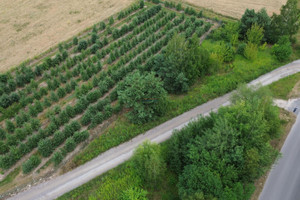 Działka na sprzedaż 1300m2 piaseczyński Tarczyn Prace Duże - zdjęcie 2