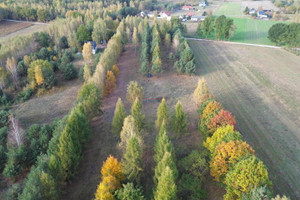 Działka na sprzedaż 1100m2 piaseczyński Prażmów Biały Ług Polna - zdjęcie 1