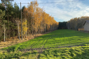 Działka na sprzedaż 11400m2 kolski Grzegorzew Barłogi BARŁOGI-EMILEWO - zdjęcie 1