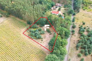 Działka na sprzedaż 3200m2 międzyrzecki Trzciel Sierczynek - zdjęcie 3