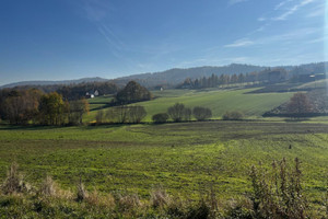 Działka na sprzedaż 2300m2 wadowicki Brzeźnica Marcyporęba - zdjęcie 2