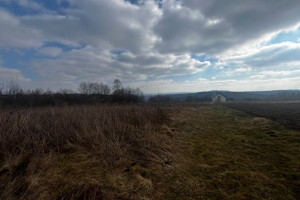 Działka na sprzedaż 5918m2 wadowicki Kalwaria Zebrzydowska Przytkowice - zdjęcie 3