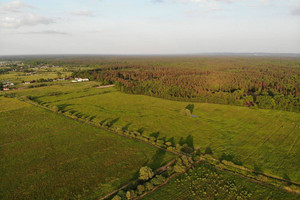 Działka na sprzedaż 10000m2 wielicki Niepołomice - zdjęcie 3