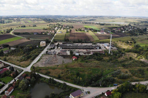 Działka do wynajęcia 10000m2 kazimierski Kazimierza Wielka Odonów - zdjęcie 1