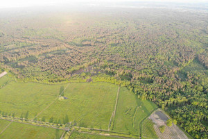 Działka na sprzedaż 10000m2 wielicki Niepołomice - zdjęcie 1