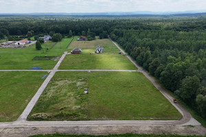 Działka na sprzedaż 3190m2 wielicki Niepołomice Droga Królewska - zdjęcie 3