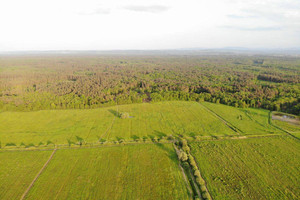 Działka na sprzedaż 10000m2 wielicki Niepołomice - zdjęcie 2