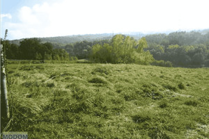 Działka na sprzedaż krakowski Skawina Bukowska - zdjęcie 3