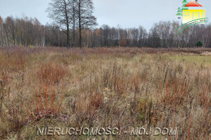 Działka na sprzedaż 1019m2 żyrardowski Wiskitki Prościeniec - zdjęcie 3