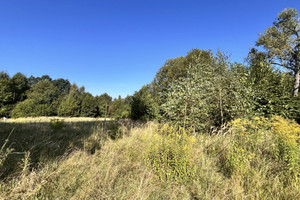 Działka na sprzedaż 43600m2 stargardzki Marianowo Dalewo - zdjęcie 2