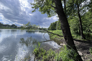 Dom na sprzedaż 145m2 Szczecin Płonia-Śmierdnica-Jezierzyce - zdjęcie 2