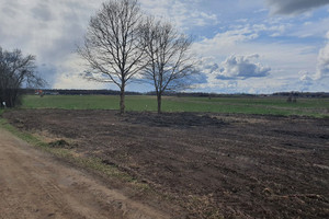 Działka na sprzedaż lidzbarski Lubomino Gronowo - zdjęcie 3