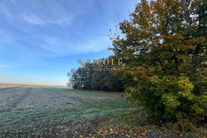 Działka na sprzedaż 8646m2 tarnogórski Ożarowice - zdjęcie 3