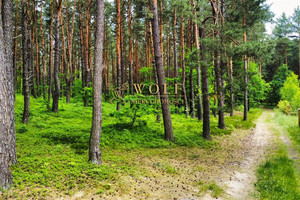 Działka na sprzedaż 1009m2 myszkowski Poraj - zdjęcie 4