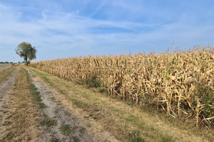 Działka na sprzedaż 19370m2 gliwicki Wielowieś - zdjęcie 3