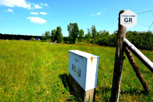 Działka na sprzedaż 1063m2 pucki Puck Brudzewo - zdjęcie 1