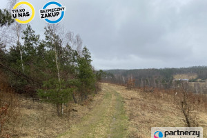 Działka na sprzedaż 2778m2 kartuski Sulęczyno - zdjęcie 2