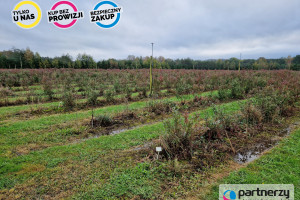 Działka na sprzedaż 50000m2 wejherowski Łęczyce - zdjęcie 1