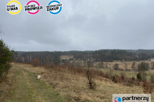 Działka na sprzedaż 2778m2 kartuski Sulęczyno - zdjęcie 3