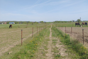 Działka na sprzedaż 69028m2 gdański Trąbki Wielkie Kleszczewo - zdjęcie 2