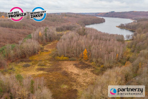 Działka na sprzedaż 21600m2 gdański Przywidz Miłowo - zdjęcie 2