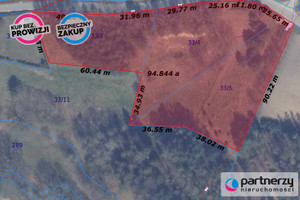 Działka na sprzedaż 9959m2 kartuski Przodkowo Kłosowo Spacerowa - zdjęcie 1