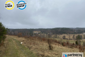 Działka na sprzedaż 2778m2 kartuski Sulęczyno - zdjęcie 3